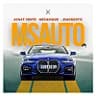 msauto