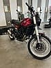 Moto BENELLI Leoncino 500T NEUVE et GARANTIE