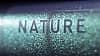 Cube Nature Exc Verde N Black