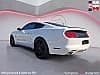 Ford Mustang FASTBACK 50eme anniversaire 5.0 V8 BVA10 GT