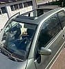 Volkswagen Lupo Volkswagen lupo