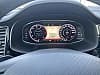 Cupra Ateca (2) 2.0 TSI 300 4DRIVE DSG7