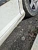 Peugeot 407 1.8 16V CONFORT