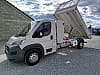 Fiat Ducato Fiat ducato benne coffre jpm