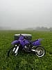 SUZUKI 125 RM