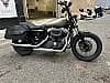 HARLEY-DAVIDSON SPORTSTER N XL NIGHTSTER