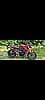 TRIUMPH STREET TRIPLE S ROUGE