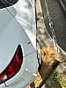 Renault Clio IV (2) 1.5 DCI 90 INTENS