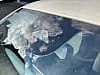 Fiat 500 E 118 Ch Icone