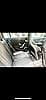 Mercedes-Benz Classe A IV BERLINE 180 AMG LINE 7G-DCT
