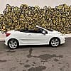 Peugeot 207 (2) CC 1.6 VTI 120 SPORT