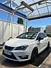 Seat Ibiza Seat Ibiza Cupra 192 6P