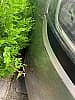Renault Clio IV (2) ESTATE 1.5 DCI 90 BUSINESS EDC