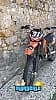 KTM SX
