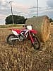 HONDA CRF 450 2019
