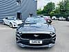 Ford Mustang VI (2) CONVERTIBLE 5.0 V8 GT 450 BVA10