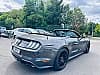 Ford Mustang VI (2) CONVERTIBLE 5.0 V8 GT 450 BVA10