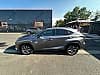 Lexus Nx Lexus NX300h F sport
