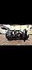 Land Rover Range Rover Evoque II 2.0 D150 2WD R-DYNAMIC BUSINESS BVM6