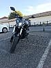 HONDA CB F HORNET