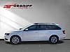 Skoda Octavia COMBI 2.0 TDI 150 ch SCR FAP DSG7 Business *TVA RÉCUPÉRABLE*