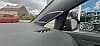 Volkswagen Golf Clubsport 300Pk Blackstyle