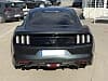 Ford Mustang Fastback 2.3 EcoBoost 317 BULLITT Pack * I