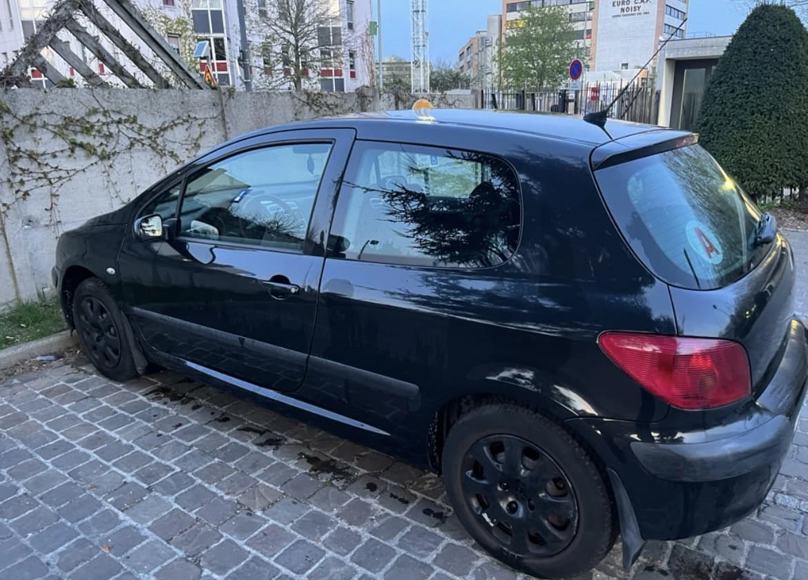 Peugeot 307 (2) 1.4 16v xr3P