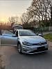 Volkswagen Golf VII (2) 1.6 TDI 115 CONFORT BUSINESS 5P