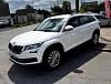 Skoda Kodiaq 2.0 TDI 150 CV DSG7 7 PL ACE AMBITION