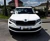 Skoda Kodiaq 2.0 TDI 150 CV DSG7 7 PL ACE AMBITION