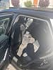 Audi Q2 (2) 35 TFSI 150 BUSINESS LINE S TRONIC